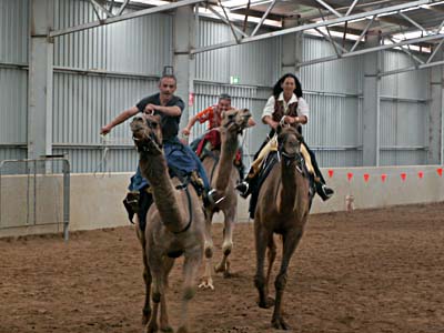 J-M qui fait une course de Chameaux