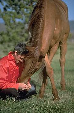 Photo Serge Farrissier - Pepsi bisous pates croises