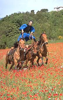 Photo Serge Farrissier - Poste à 3 chevaux