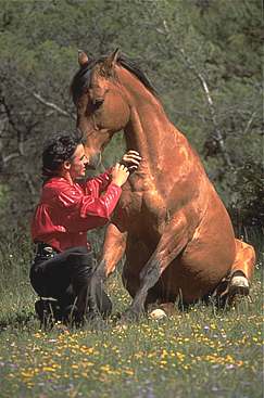 Photo Serge Farrissier - Nikito Assis