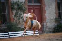 J-M Montegnies2eme jour _mg_84_horse_show.jpg