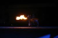 J-M Montegnies2eme jour dragon _mg_0149_horse_show.jpg