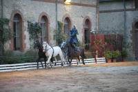 J-M Montegnies2eme jour mg_0110_horse_show.jpg