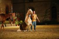 J-M Montegnies2eme jour poste liberte_mg_0124_horse_show.jpg