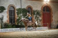 J-M Montegnies2eme jour poste liberte_mg_0132_horse_show.jpg