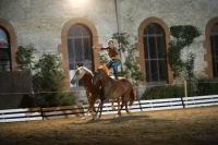 J-M Montegnies2eme jour poste liberte_mg_0136_horse_show.jpg