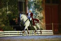 J-M Montegnies2eme jour_mg_0005_horse_show.jpg