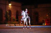 J-M Montegnies2eme jour_mg_0022_horse_show.jpg