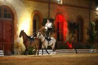 J-M Montegnies2eme jour_mg_0363_horse_show.jpg