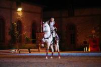 J-M Montegnies_mg2_0024_horse_show.jpg