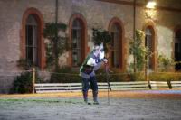 J-M Montegnies_mg2_0035_horse_show.jpg