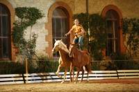 J-M Montegnies_mg2_0056_horse_show.jpg