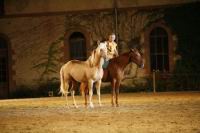 J-M Montegnies_mg2_0063_horse_show.jpg