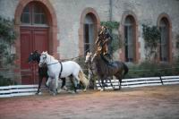 J-M Montegnies_mg2_0113_horse_show.jpg