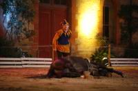 J-M Montegnies_mg2_0302_horse_show.jpg