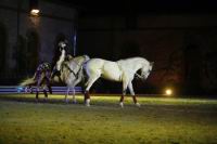 J-M Montegnies_mg3_0113_horse_show.jpg