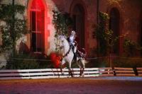 J-M Montegnies_mg_0001_horse_show.jpg