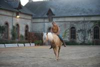 J-M Montegnies_mg_0011_horse_show.jpg