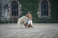 J-M Montegnies_mg_0021_horse_show.jpg