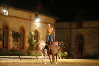 J-M Montegnies_mg_0023_horse_show.jpg