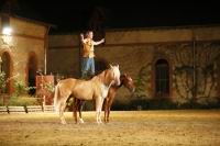 J-M Montegnies_mg_0030_horse_show.jpg