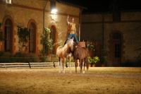 J-M Montegnies_mg_0042_horse_show.jpg