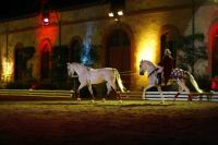 J-M Montegnies_mg_0044_horse_show.jpg