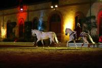 J-M Montegnies_mg_0044_horse_show.jpg