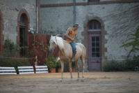 J-M Montegnies_mg_0049_horse_show.jpg