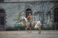 J-M Montegnies_mg_0055_horse_show.jpg