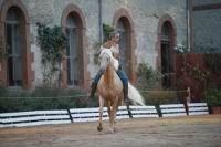 J-M Montegnies_mg_0056_horse_show.jpg