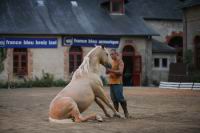 J-M Montegnies_mg_0072_horse_show.jpg