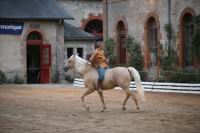 J-M Montegnies_mg_0078_horse_show.jpg