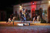 J-M Montegnies_mg_0081_horse_show.jpg