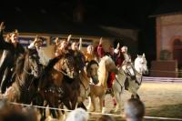 J-M Montegnies_mg_0084_horse_show.jpg