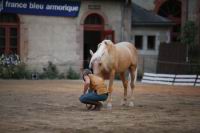 J-M Montegnies_mg_0089_horse_show.jpg