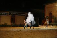 J-M Montegnies_mg_0093_horse_show.jpg