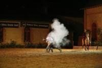 J-M Montegnies_mg_0094_horse_show.jpg