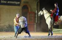 J-M Montegnies_mg_0099r_horse_show.jpg