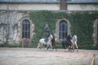 J-M Montegnies_mg_0102_horse_show.jpg