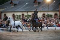 J-M Montegnies_mg_0103_horse_show.jpg