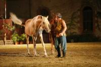 J-M Montegnies_mg_0105_horse_show.jpg