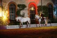 J-M Montegnies_mg_0109_horse_show.jpg