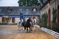 J-M Montegnies_mg_0112_horse_show.jpg