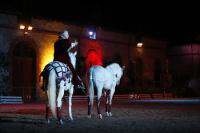 J-M Montegnies_mg_0120_horse_show.jpg