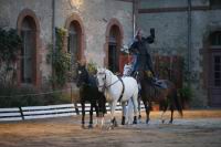 J-M Montegnies_mg_0131_horse_show.jpg