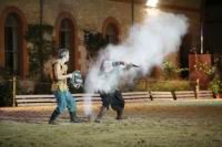 J-M Montegnies_mg_0134_horse_show.jpg