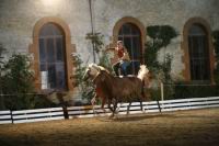 J-M Montegnies_mg_0135_horse_show.jpg