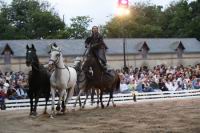 J-M Montegnies_mg_0139_horse_show.jpg