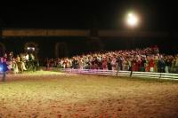 J-M Montegnies_mg_0171_horse_show.jpg